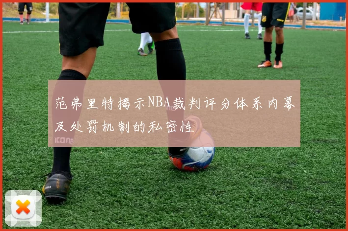 范弗里特揭示NBA裁判评分体系内幕及处罚机制的私密性