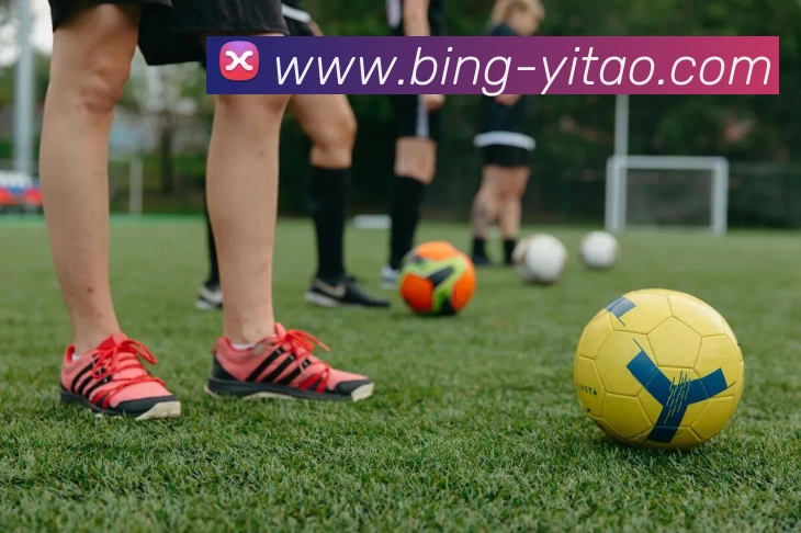 壹葡娛樂平台生态图